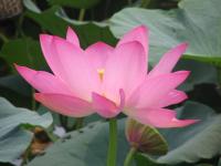 Albums/20060800-China Aug 2006/20060804-Shenyang University/43